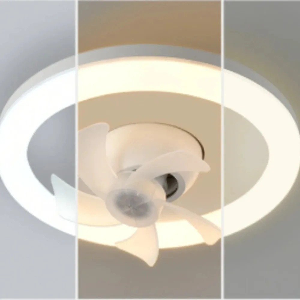 main-image-4